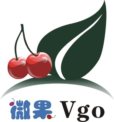 嚴達計算機軟硬件簡介