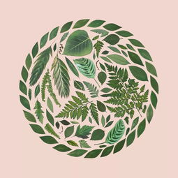 超治愈平面設(shè)計(jì) 一家人要整整齊齊的創(chuàng)意理念在網(wǎng)頁(yè)中的應(yīng)用